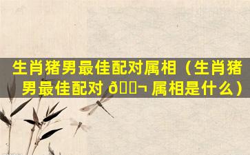 生肖猪男最佳配对属相（生肖猪男最佳配对 🐬 属相是什么）